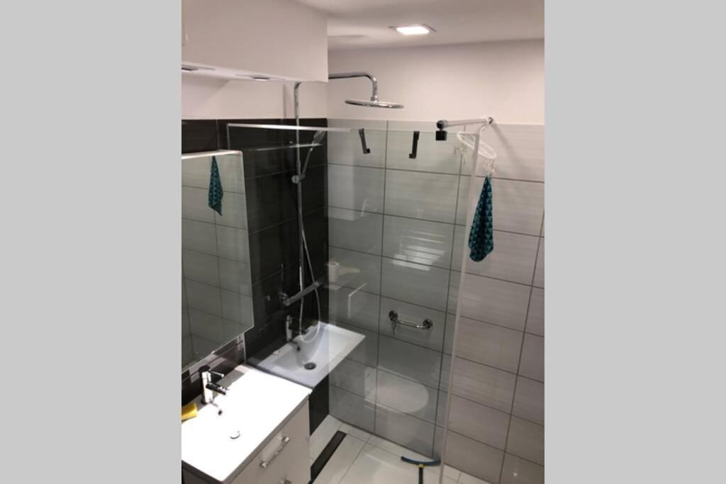 Apartament Sikornik Гливице Экстерьер фото